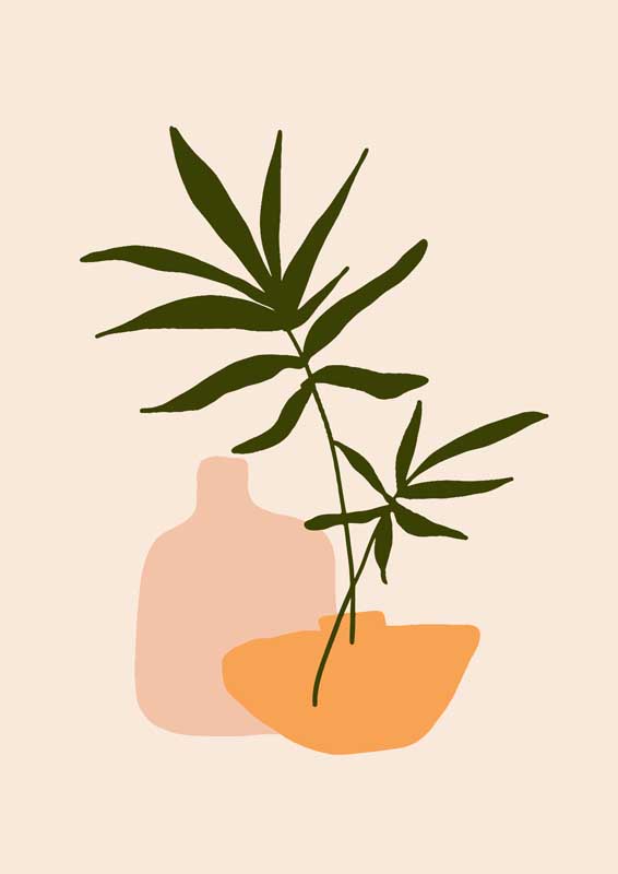 秘密入口进入动漫
